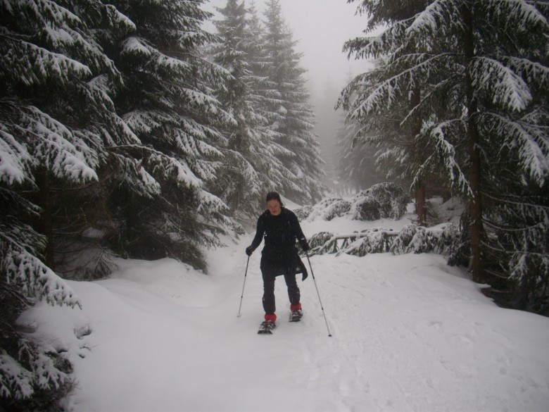 Kurz chůze na sněžnicích v Kořenově -únor 2016
