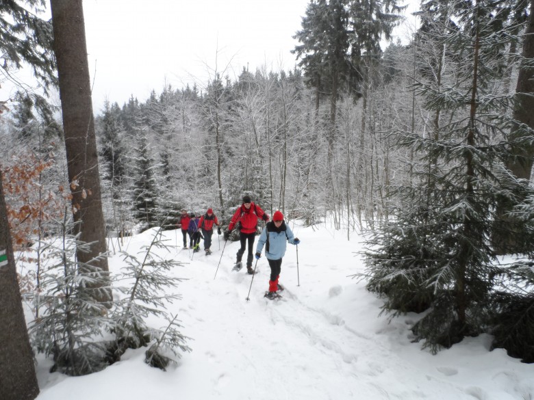 kurz chůze na sněžnicích v Kořenově únor 2018